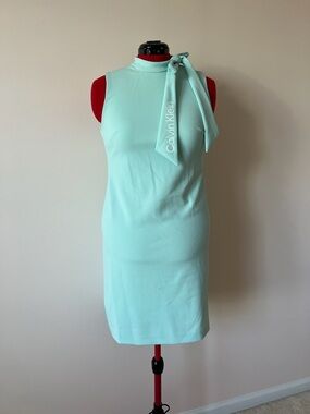 Calvin Klein | Dresses | Calvin Klein Womens Shift Dress With  Goldtonehardware Size Sp 3 | Poshmark